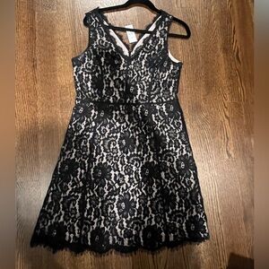 NWT! Loft Elegant Black Lace Dress